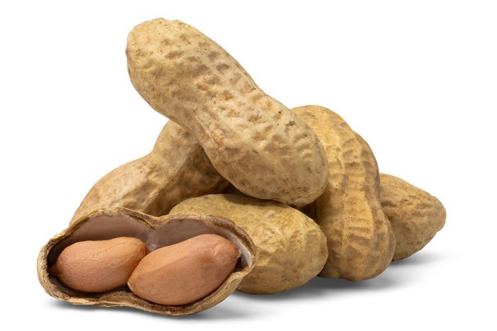 Jumbo Raw Peanuts (In Shell) - Image 2