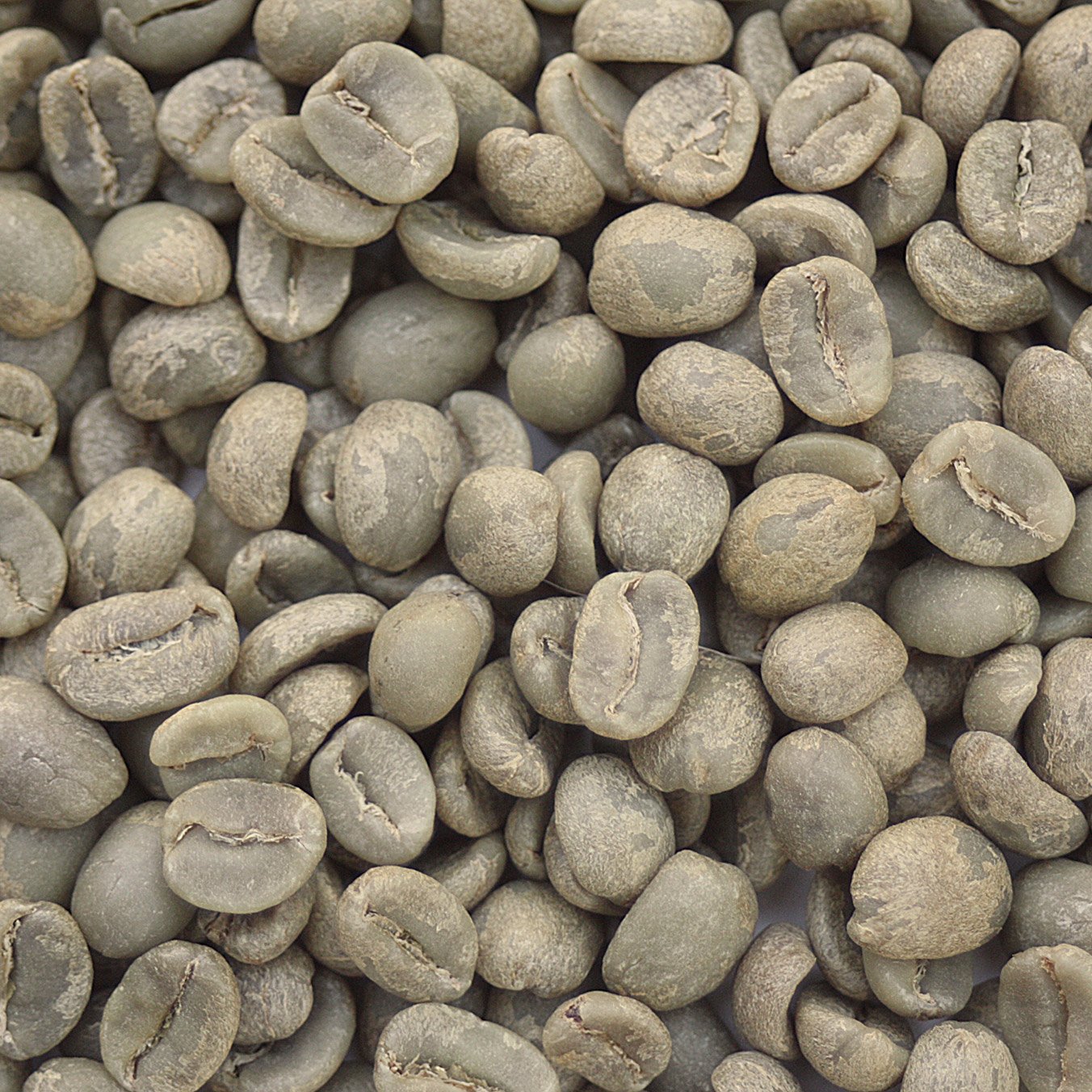 Guatemala La Flor Del Cafe Antigua Guatemala: La Flor Del Cafe, Antigua - Image 2