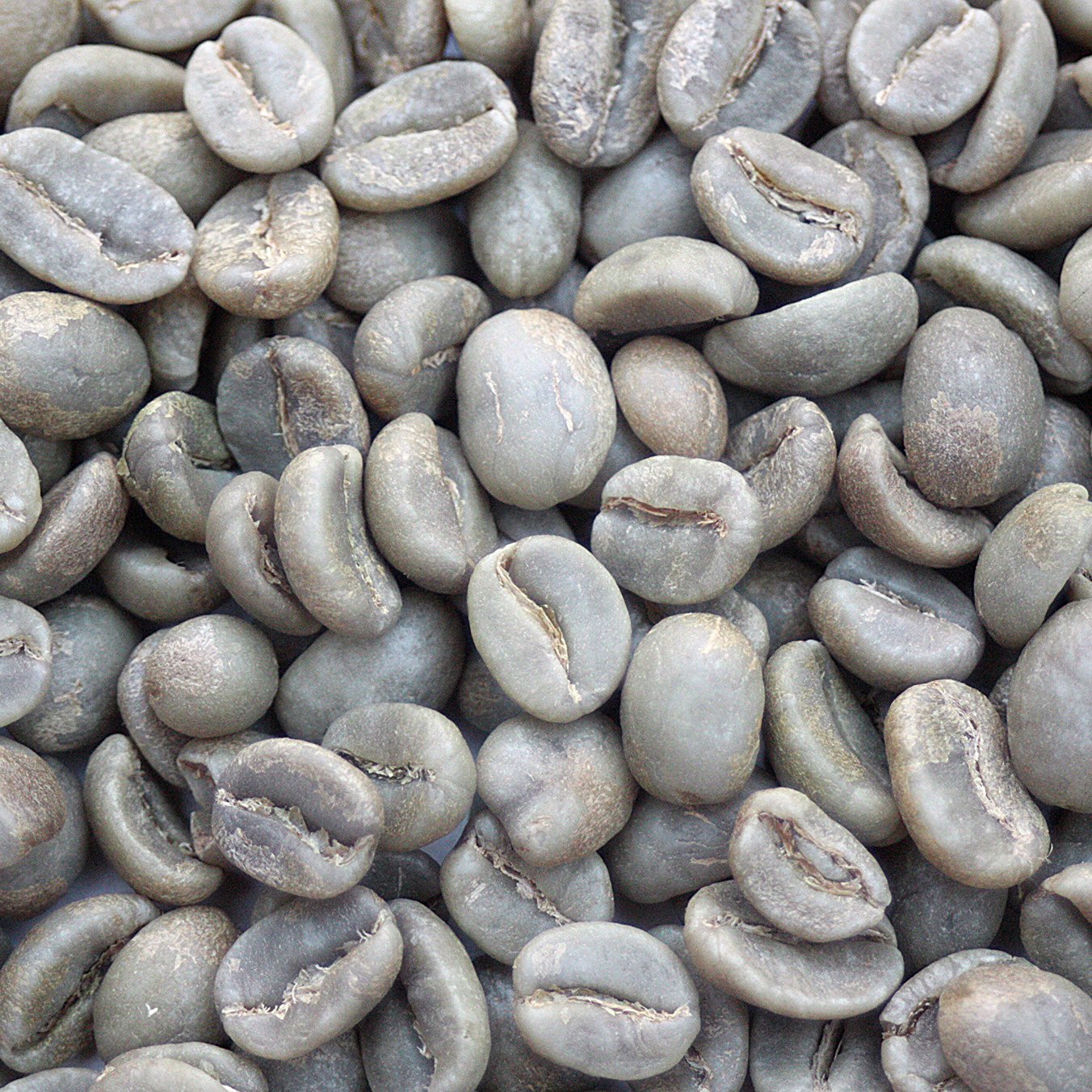 Colombia Reserva Del Patron Narino Colombia: Reserva Del Patron, Narino - Image 2