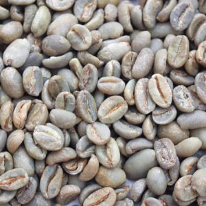 Ethiopia Queen City Harrar Ethiopia: Queen City, Harrar