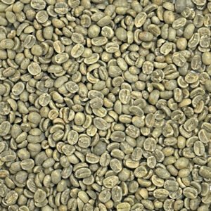 Alternative view of Guatemala HHT SHB Huehuetenango Guatemala: HHT SHB, Huehuetenango