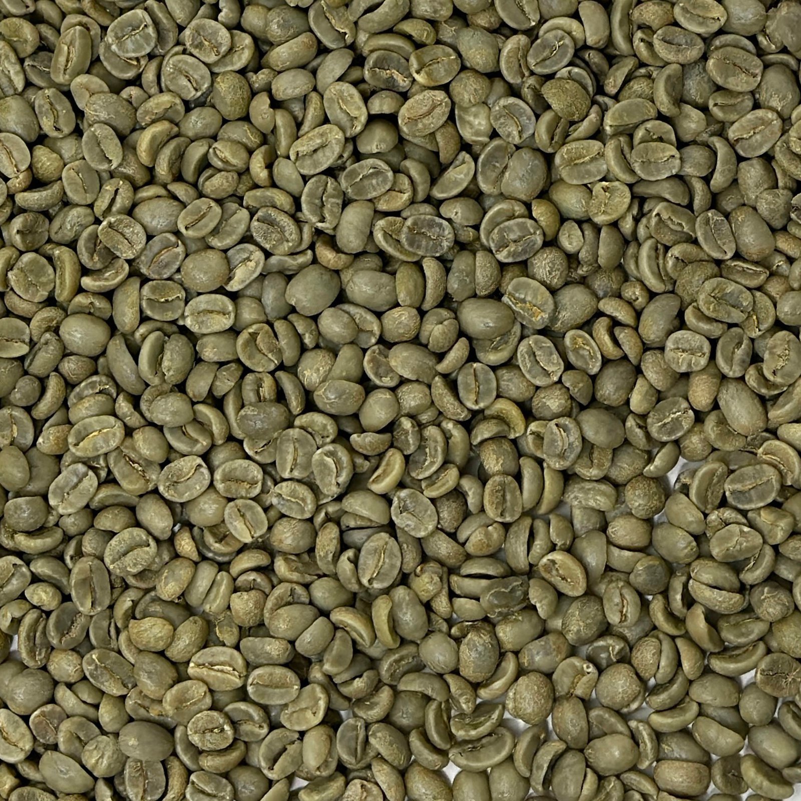 Kenya Select Plus AA Kiambu County Kenya: Select Plus AA, Kiambu County