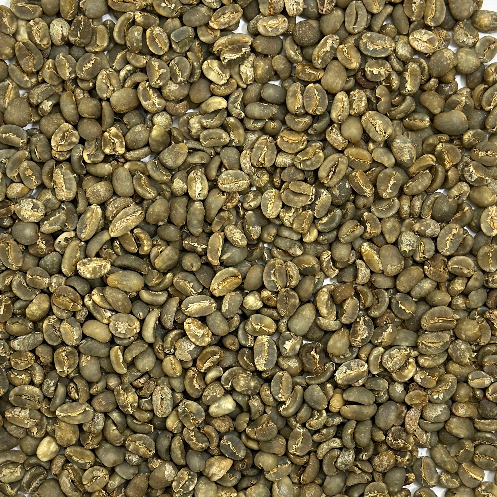 Sumatra Mandheling G1 Aceh Sumatra: Mandheling G1, Aceh