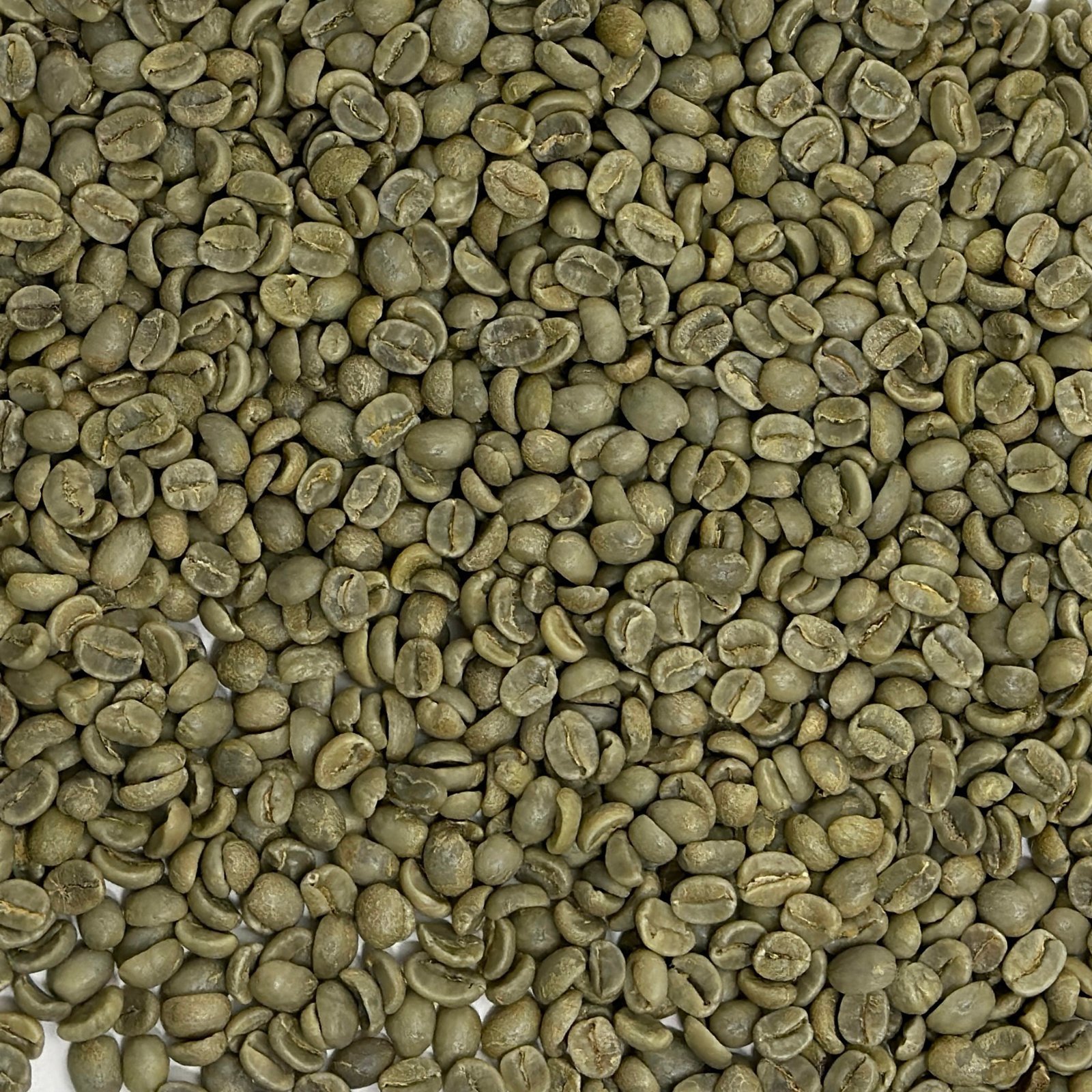 Costa Rica El Conquistador Tarrazu Costa Rica: El Conquistador, Tarrazu