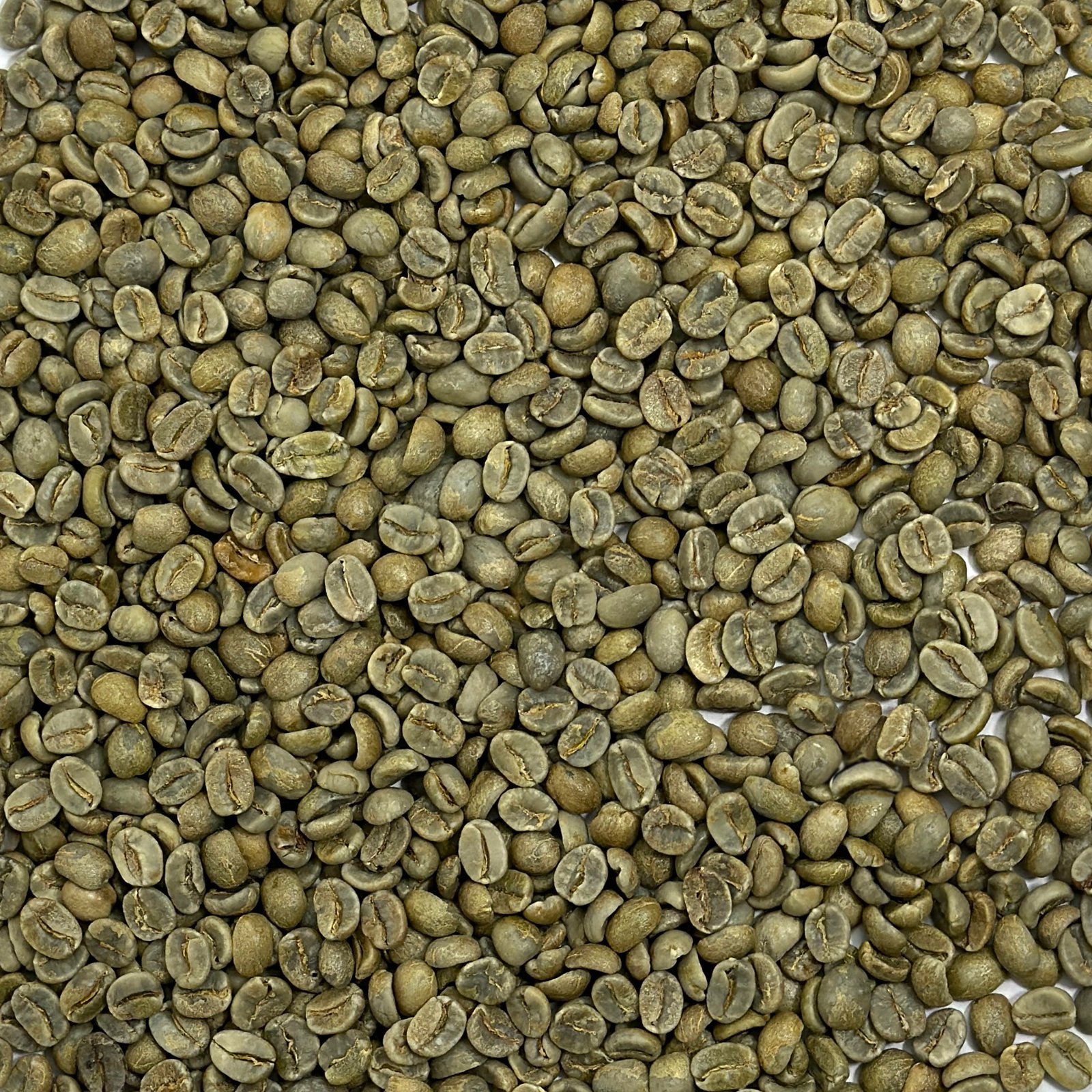 Costa Rica La Magnolia Tres Rios Costa Rica: La Magnolia, Tres Rios