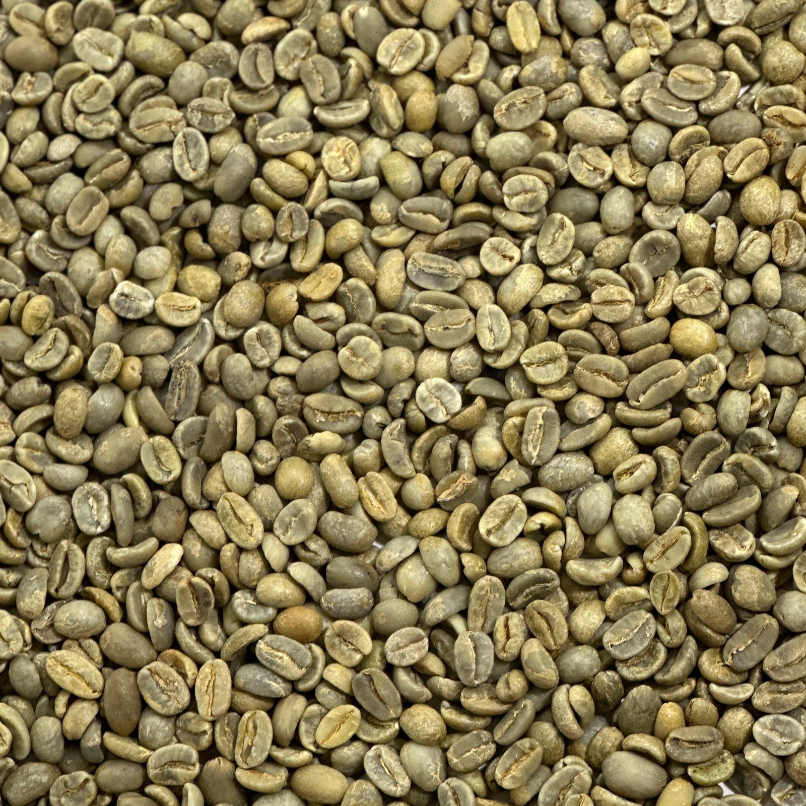 CBC Blend: Ferdelance - Image 2