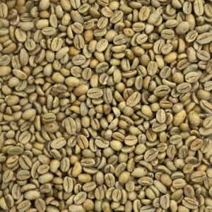 Alternative view of Ethiopia Misty Valley Yirgacheffe Ethiopia: Misty Valley, Yirgacheffe