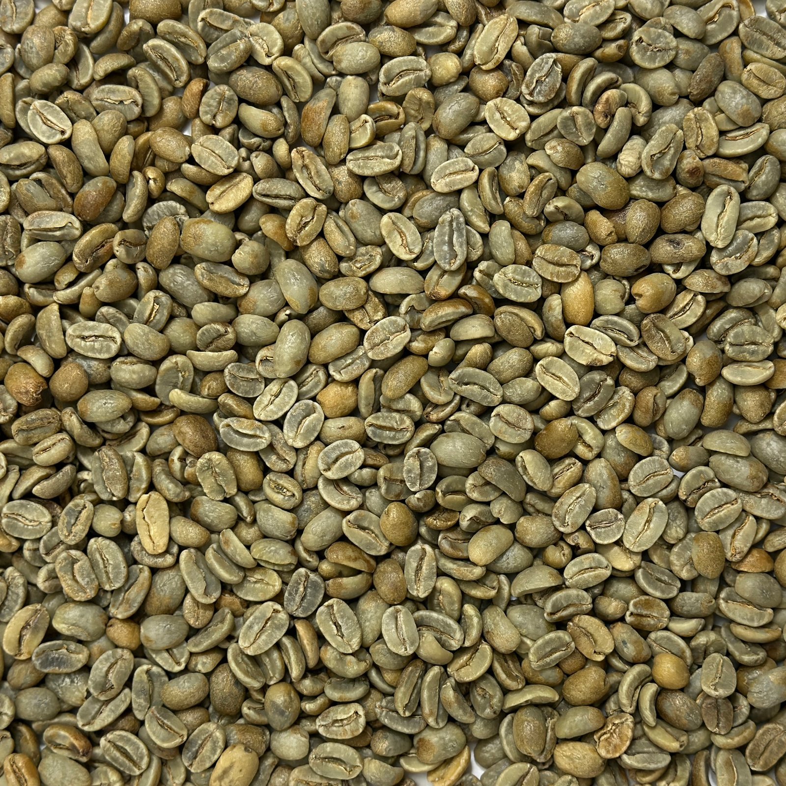 Dominican Republic Organic Ramirez Red Honey Jarabacoa Dominican Republic: Organic Ramirez Red Honey, Jarabacoa