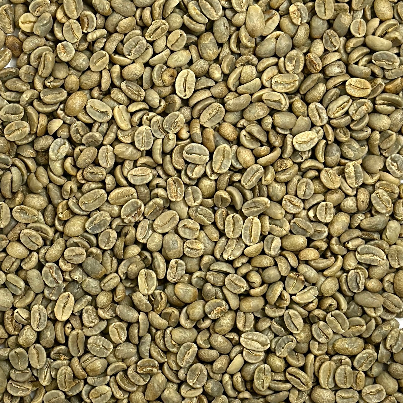 Uganda Organic Bugisu Sipi Falls Uganda: Organic Bugisu, Sipi Falls