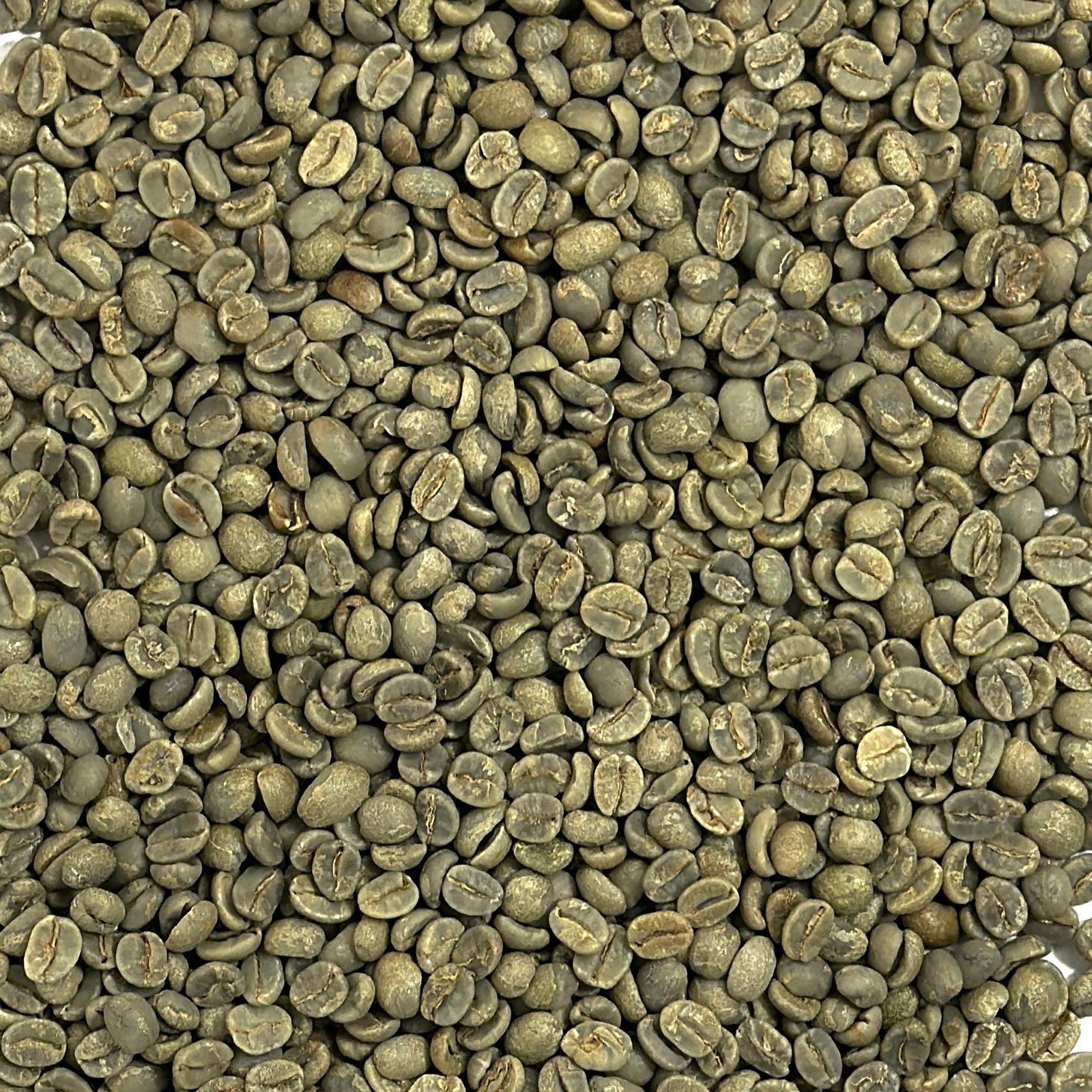 Brazil Sweet Blue Daterra Estate Brazil: Sweet Blue, Daterra Estate
