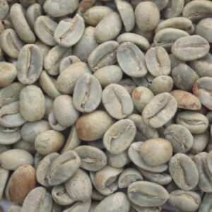 Mexico Organic Cepco Oaxaca Oaxaca Mexico: Organic Cepco Oaxaca, Oaxaca